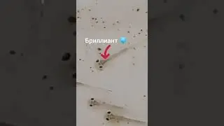 мальки тритонов