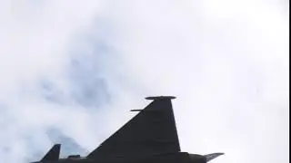 S1190016