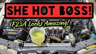 Budget CB7 Accord Gets EBAY Dual Core Full Size Radiator! | Cooling Issues | HDAY Plans