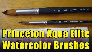 Watch this BEFORE Buying Princeton Aqua Elite Watercolor Brushes
