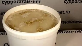 Зерновой самогон на кодзи или я его слепила из того что было