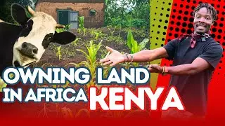 My Dream Land in Kenya Will Make You Want to Move to Africa
