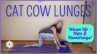 Cat Cow Lunges | Great Warm Up | No Music | #yogawarmup #yogastretches