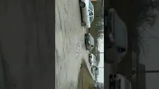 Хамзат Чимаев приехал в родное село | UFC | Хамзат Чимаев