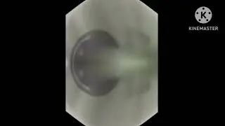 GoldStar LG Logo History In G-Major 2518 Reversed