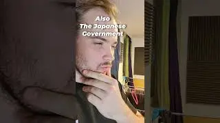 Why is the Japanese Government Like This?