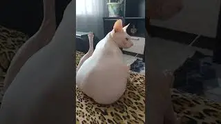 Что ты меня снимаешь? 