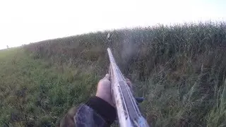 УТИНАЯ ОХОТА !!!!!! КАЗАН-КЕБАБ ИЗ ДИКОЙ УТКИ!!!