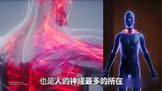 健康機能枕 CF 01分13秒