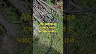 Абиссинская скважина в Челябинске с чистой водой!