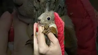 Зубки не выровнялись 🥺 