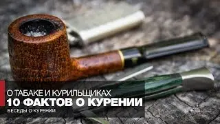 They won't tell you this on TV: 10 facts about tobacco smoking, smokers, and pipe smoking