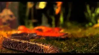 SHAKE THE SNAKE by GREGG HOMME