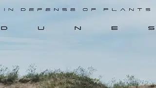 In Defense of Plants: DUNES