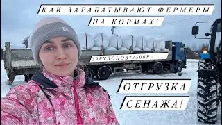 В ожидании отёлов и опоросов! Новости Молодой фермы! Заказала новый инкубатор!