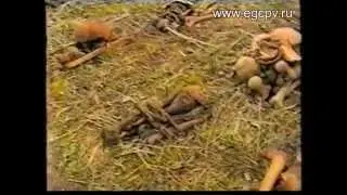 Военная археология 