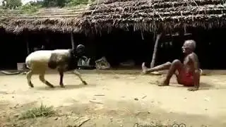 Manusia terkuat di dunia (Pakdheor)
