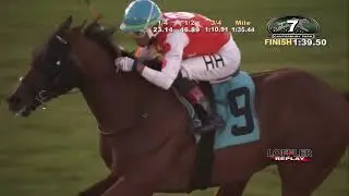 Mountain Pine-Harry Hernandez🇵🇷