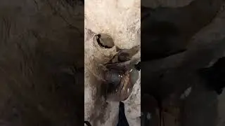 Они не ломаются , но если ломаются то надо брать ипотеку