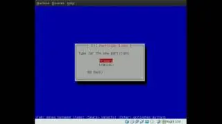 How to install Ubuntu in a RAID 0 array - Part 1 - #6