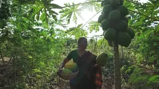 Permacultura na Índia