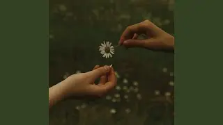 Abandon