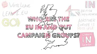 Who are the EU In and Out Campaign Groups?