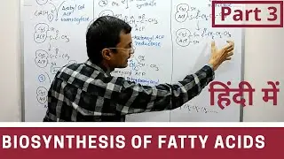 Fatty acid synthesis in Hindi | Part 3
