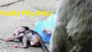 Fully Regret to See Poor Baby Amira Is Mistreated by Amara Wrongly