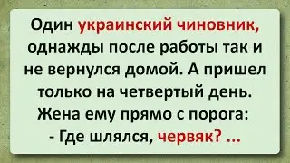 Анекдот Дня! Птичья болезнь - Три пера!