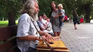 Гусли. Былина о князе Игоре.