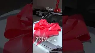 Выдача BYD Song Plus🔥
