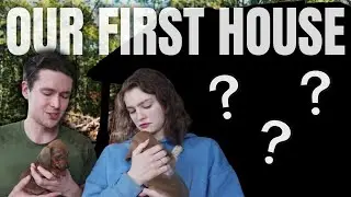 OFFICIAL HOUSE TOUR!!! | Meeting Our Puppies