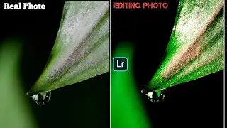 Water Leaves Dark Blue Effects in Lightroom Mobile preset | JMaxx Editz
