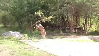 Спортивный лагерь "Каскад" в Дагестане