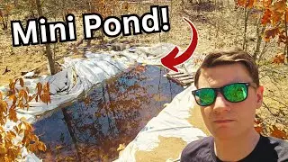 Pond Update: What Fish Should I Put in the Pond?