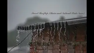 2 Hours Rooftop Rain for Deep Sleep - Sweet Rooftop Rain and Natural Pink Noise