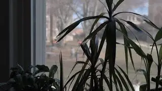 finding light