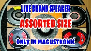 LIVE BRAND SPEAKER