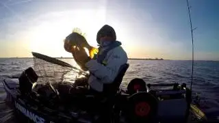 Hobie Predator Open