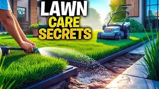 Simple Lawn Maintenance Tips for a Perfect Green Yard