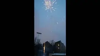 Шкільна ялинка