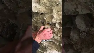 Finding a Large Pyrite Crystal! 😲