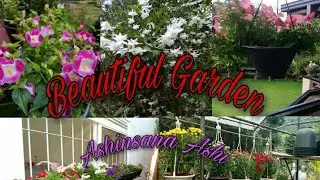 Beautiful garden