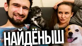 Жена нашла собаку. Невероятная любовь чишки и работа