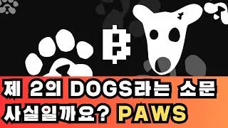 제 2의 DOGS PAWS 무료 에어드랍 가이드