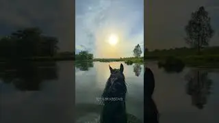 Спокойствие 💔 #конныйблог #конныйтуризм #equestrian #конныепрогулки #sunset #horse #можайск #ранчо