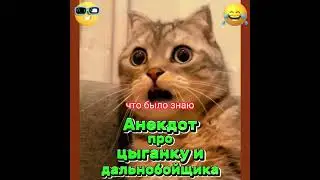 Анекдот про цыганку и дальнобойщика. 