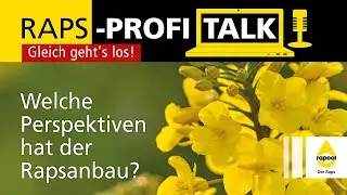RAPS-PROFI-TALK 2023: Welche Perspektiven hat der Rapsanbau?