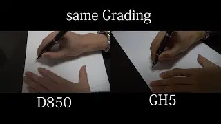 [TEST] Nikon D850 Flat vs Lumix GH5 CinelikeD